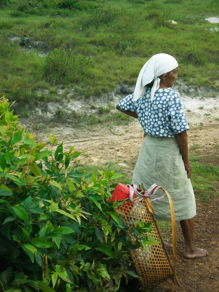 Oficina de madeira na Guiana Inglesa